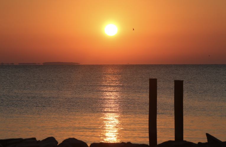 Lenten reflection: Believing means to ‘be-living’ as Jesus did