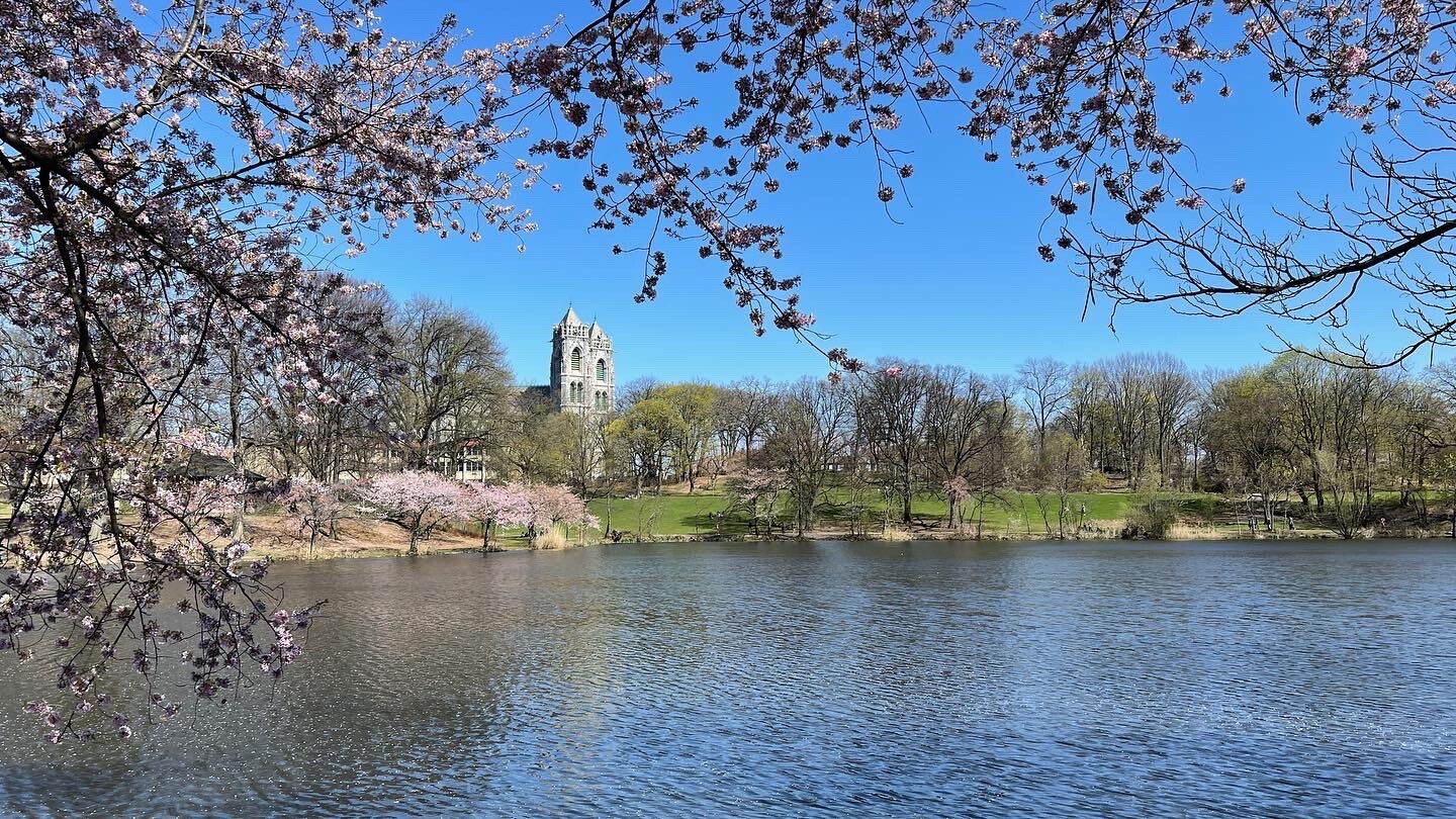 The Cathedral Basilica of the Sacred Heart in Newark, N.J. pictured from Branch Brook Park on April 17, 2022. (Photo by Jai Agnish/Archdiocese of Newark)