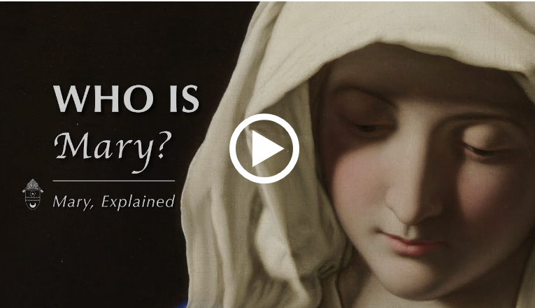 New ‘Mary, Explained’ video series helps Catholics discover, embrace Jesus’ mother (Video)