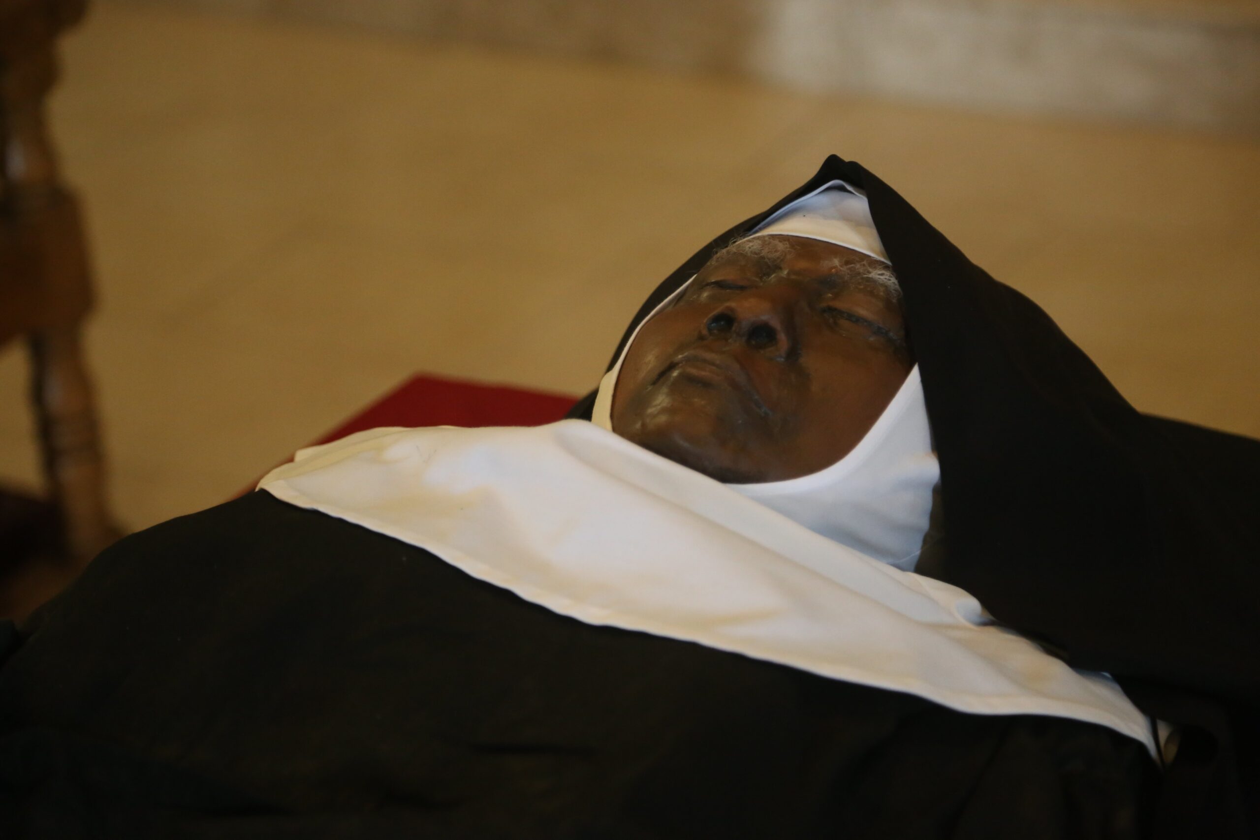 Reaching out in faith: Is incorrupt Sister Wilhelmina possibly a saint? -  Jersey Catholic