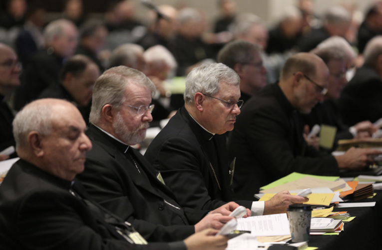 Experts hope for progress on health care, disability ministry and hispanic Catholics at U.S. Bishops’ June meeting