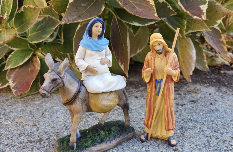 Faithful can join Mary, Joseph, and Bo Advent adventures