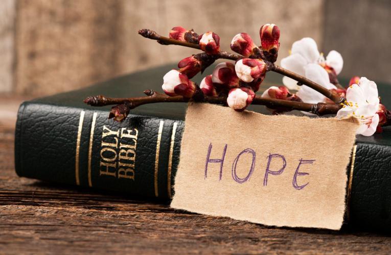 Giving the gift of hope this Advent (Podcasts)