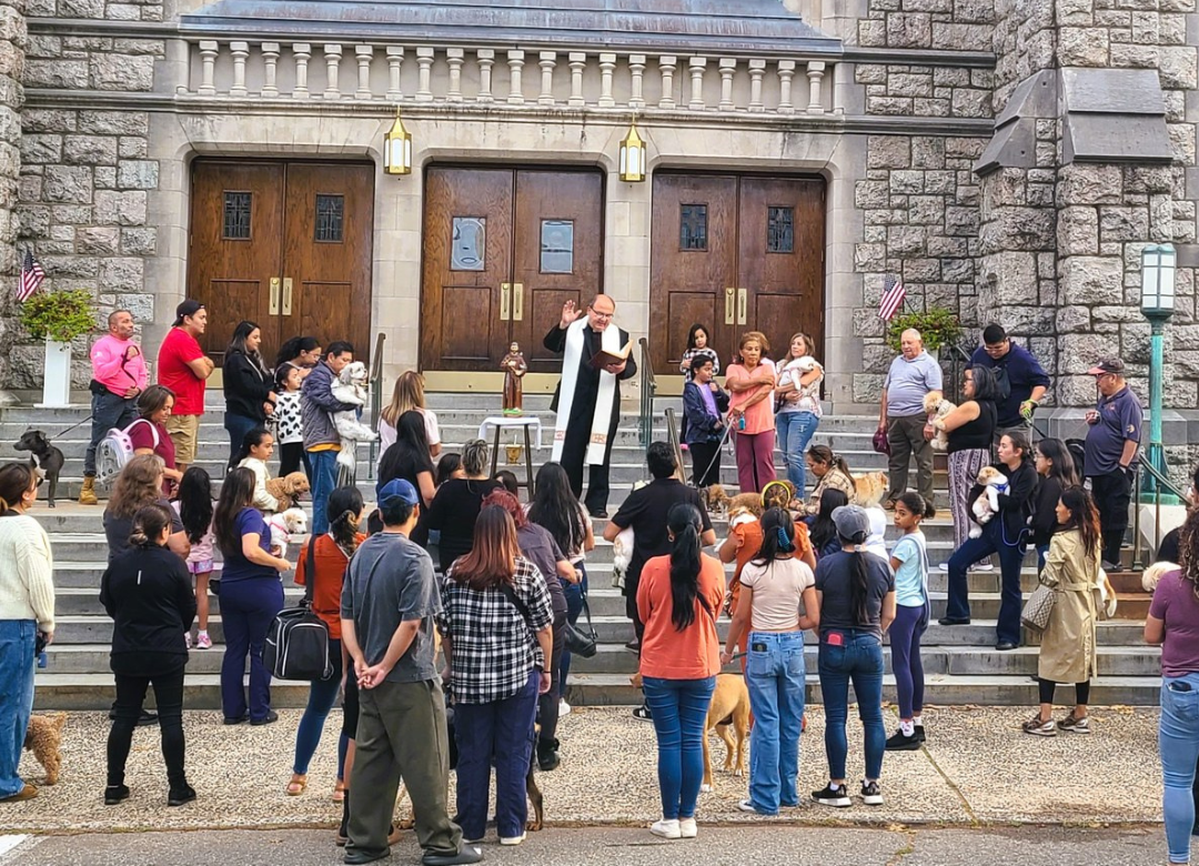 In celebration of the Feast of St. Francis of Assisi, parishes and Catholic schools throughout the Archdiocese of Newark came together to celebrate the annual Blessing of the Animals.