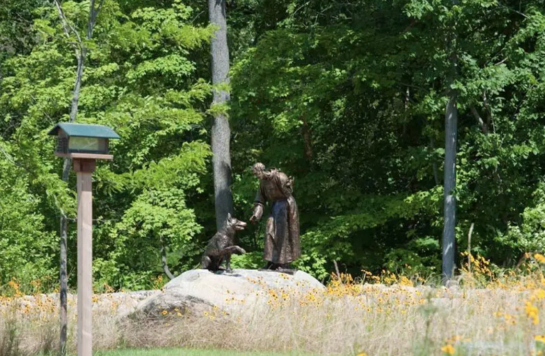 Celebrating the Feast of St. Francis of Assisi