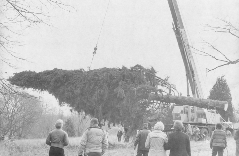From the Archives: Rockefeller Center’s tree from Immaculate Conception Seminary