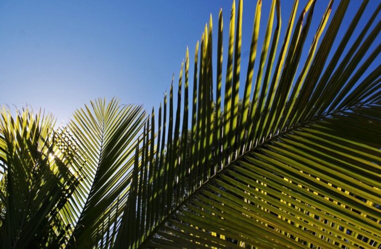 2 Questions to get you back on track for Holy Week