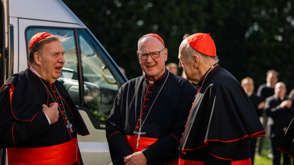 Cardinals Joseph W. Tobin of Newark, N.J., Timothy M. Dolan of New York and Robert W. McElroy of Washington