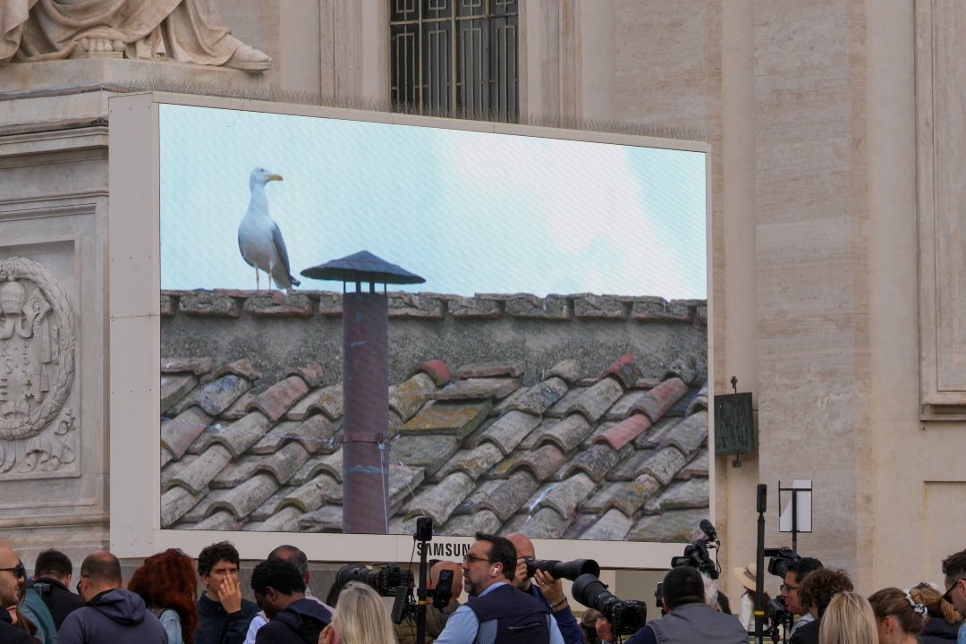 View of conclave monitor in St Peters Square