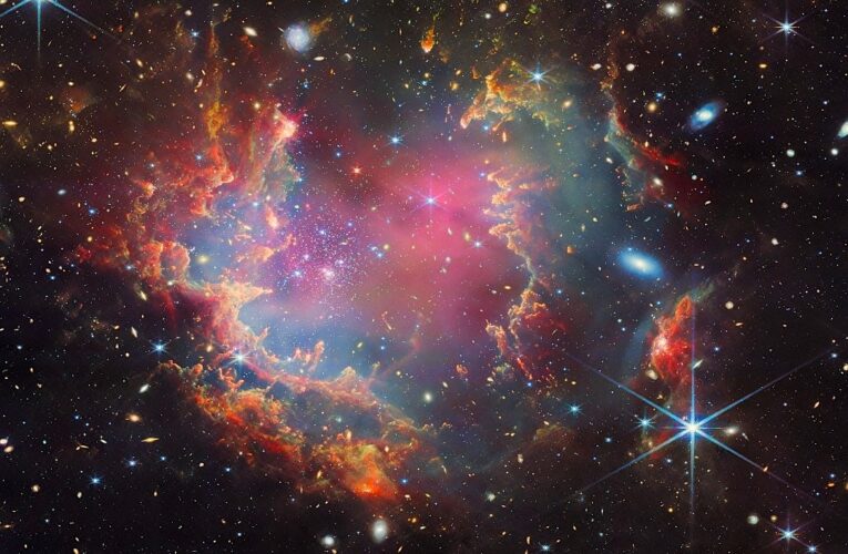 Share the joy of discovery, pope tells young astronomers