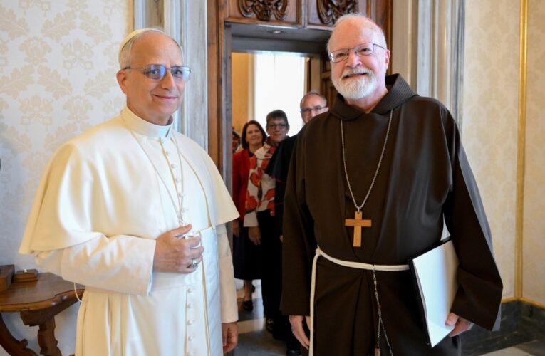 Safeguarding remains a top priority with new appointment, US cardinal says