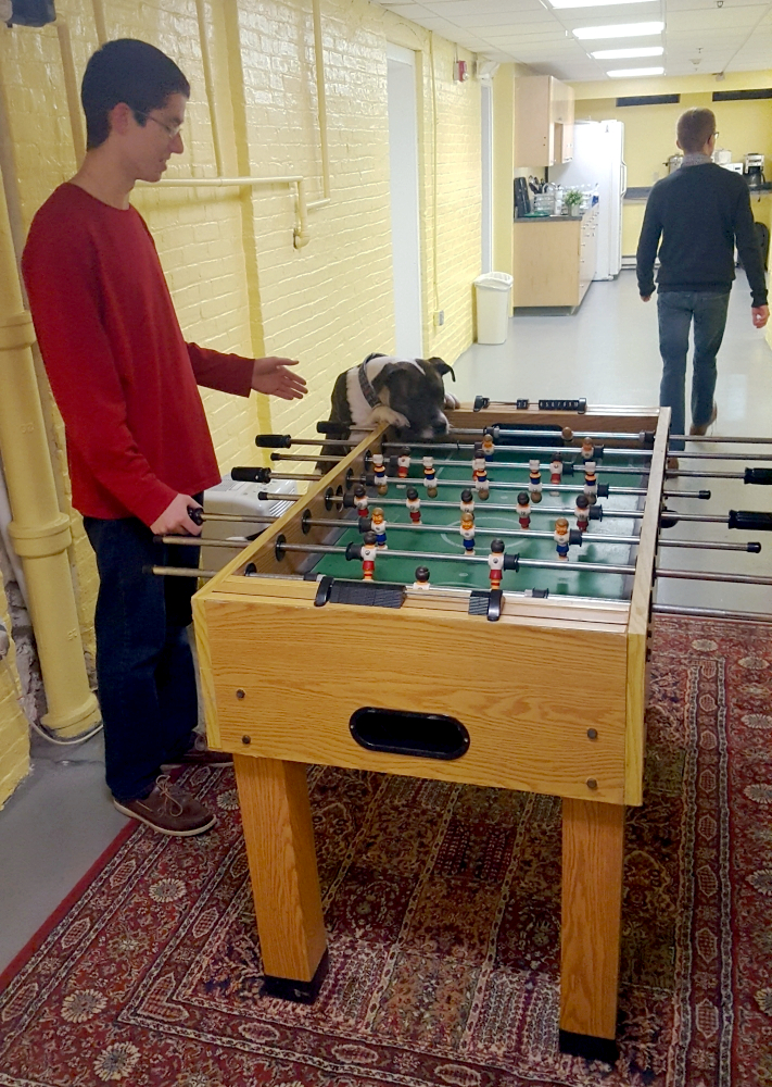 Hardy watching a game