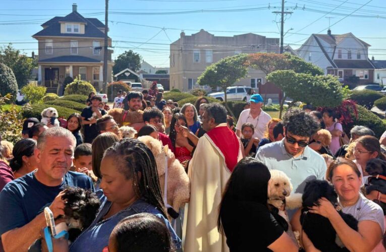 Sights & Sounds: Blessing of the Animals