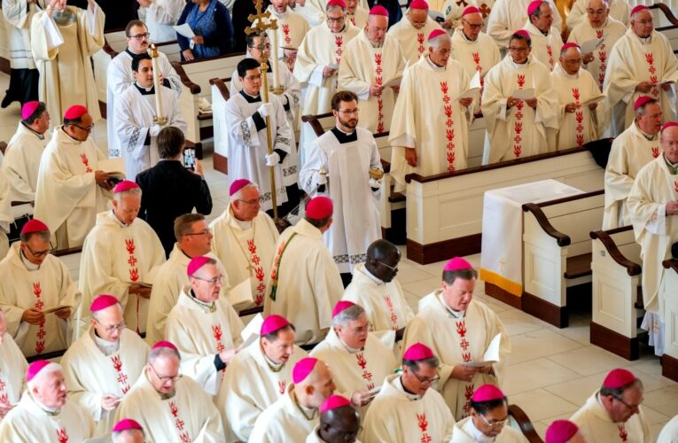 US bishops ‘beg the Holy Spirit to inspire’ their fall assembly