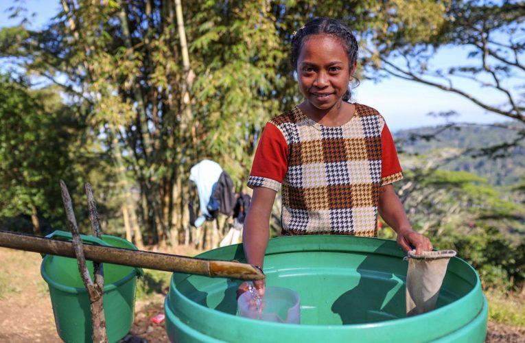 Lent’s CRS Lent Rice Bowl collection critical after USAID cuts