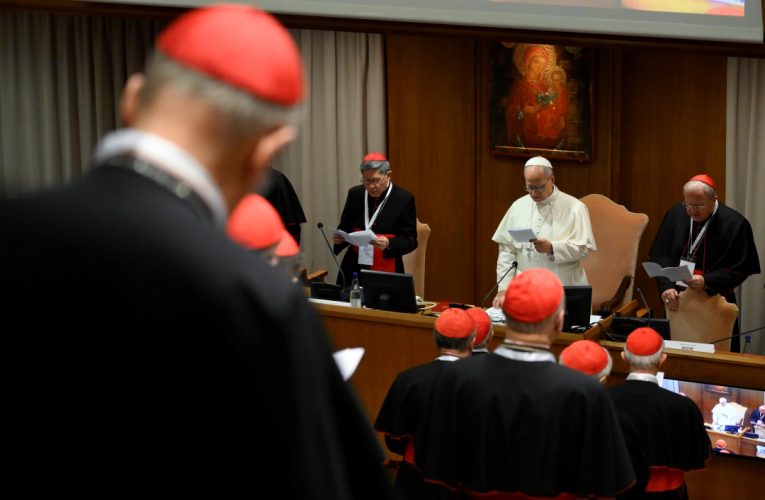 Pope Leo speaks at 2025 consistory of cardinals