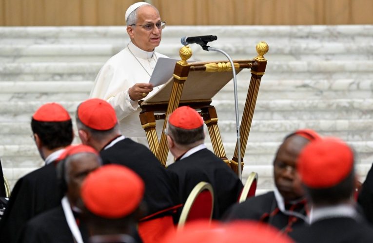 June Consistory - Pope Leo opens consistory
