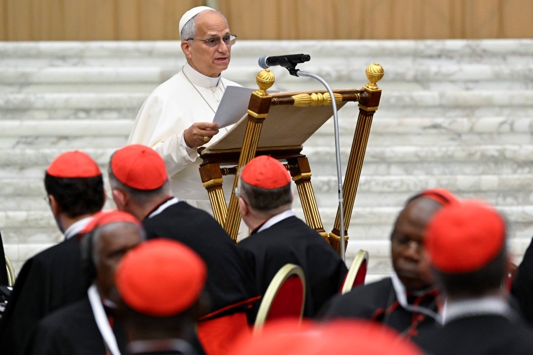 June Consistory - Pope Leo opens consistory