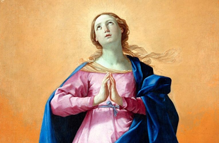 IMMACULATE CONCEPTION - MMA 1080