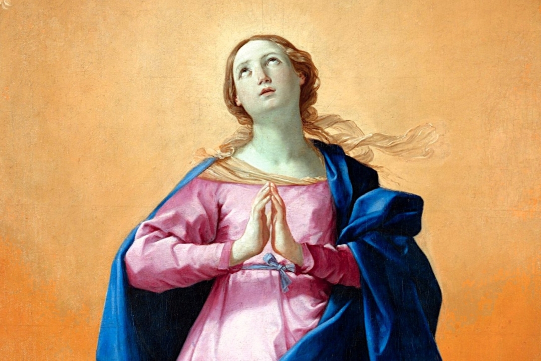 IMMACULATE CONCEPTION - MMA 1080