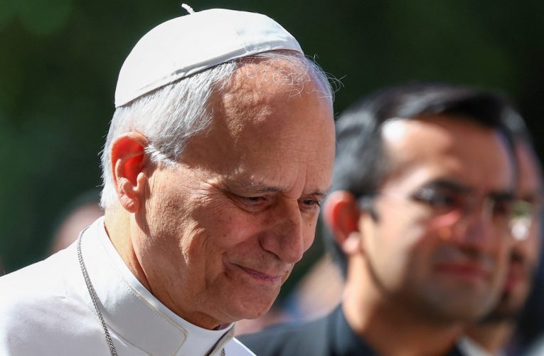Pope Leo enters hospital