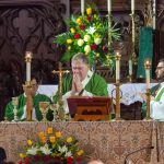 StJohnsOrange175-CardinalTobin